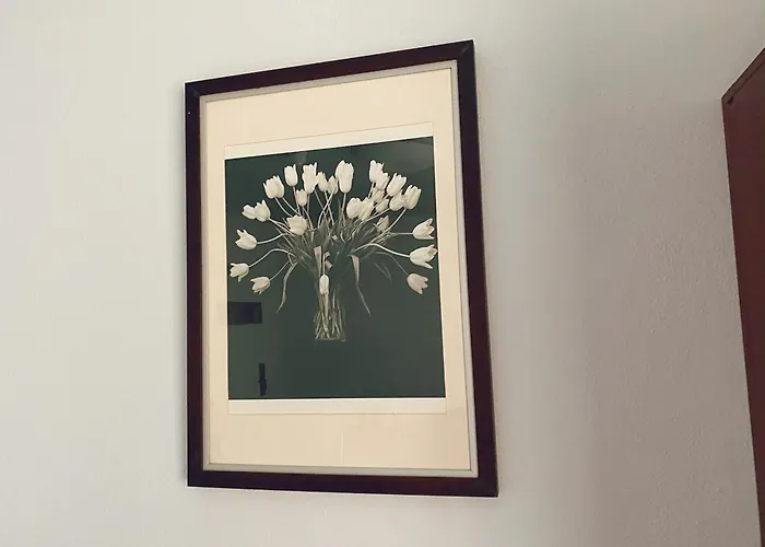 阿波罗酒店 酒店 奈梅亨